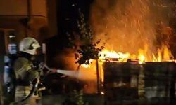 BURSA'DA KÜMES YANGINI! 40 HAYVAN TELEF OLDU