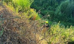 BURSA’DA UÇURUMDA CAN PAZARI