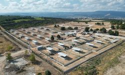 BÜYÜKŞEHİR'DEN SOKAK HAYVANLARINA YENİ YUVA