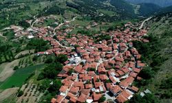 BURSA'NIN MEŞHUR LEZZETİ RESMEN TESCİLLENDİ!