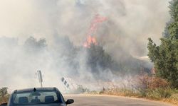 İznik'te korkutan yangın