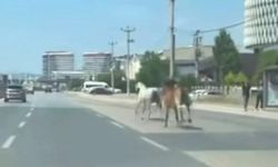 BURSA TRAFİĞİNDE TEHLİKELİ ANLAR!
