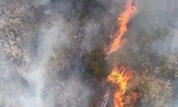 Bursa’da yine alevler yükseldi!