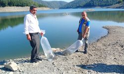 Bursa'da balıklandırma seferberliği!