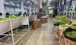 Bursa'nın tarım ürünleri Avrupa sofralarında