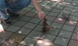 Bursa’dan yürek ısıtan görüntüler