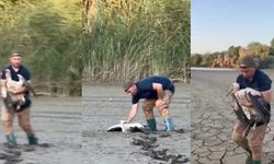 BALÇIĞA SAPLANAN LEYLEĞİ BÖYLE KURTARDI!