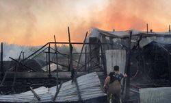 BURSA'DA ÇİFTLİK ALEV ALEV YANDI