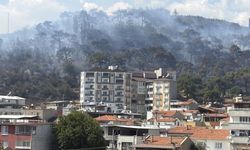BALIKESİR'DE ORMAN YANGINI!