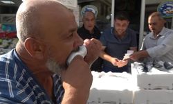 FİYATI 100 TL'YE DÜŞTÜ! DAYANAMAYIP ÇİĞ ÇİĞ YEDİ