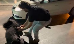 Polise direnen, alkollü kadın tutuklandı