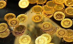 Gram altın kaybını geri aldı