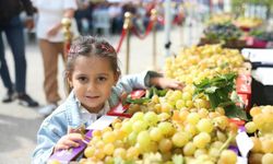 OSMANGAZİ’DE ÜZÜM BEREKETİ FESTİVALLE TAÇLANDI