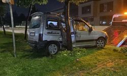 KONTROLDEN ÇIKAN ARAÇ AĞACA ÇARPTI