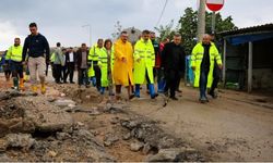 Biba: Esence'de planlamaya hız verilecek
