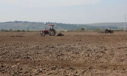 BURSA’DA 150 DEKARLIK YAPAY MERA KURULUYOR