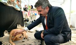 Bursa’da can dostlarla şenlik zamanı!