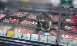 O GÖRÜNTÜLER SONRASI MARKETE CEZA!