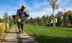 Büyükşehir’den park ve bahçe bakımı
