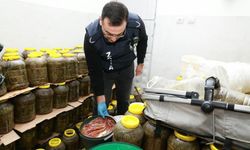 BURSA'DA TONLARCA GIDA İMHA EDİLDİ!