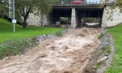Uludağ'dan akan dereler coştu