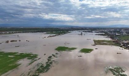 Tarlalar göle döndü