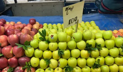 Elma üreticide ucuz, tezgahta pahalı