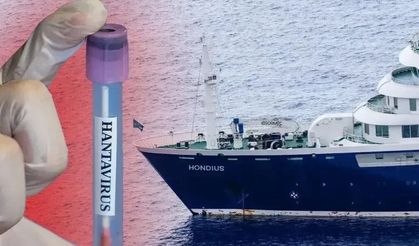 Hantavirüs uyarısı: O alanlar riskli!