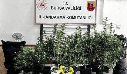 Zehir tacirlerine geçit yok!