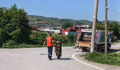 Gemlik’te bayram sonrası kapsamlı temizlik