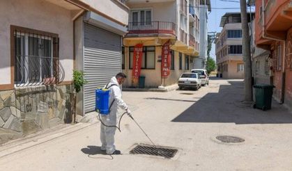Bursa sokaklarında haşereyle mücadele