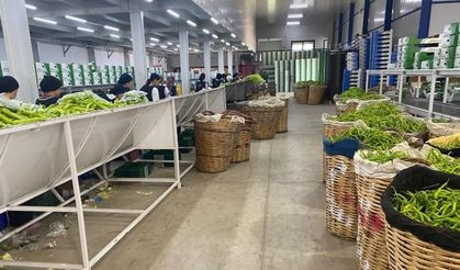 Bursa'nın tarım ürünleri Avrupa sofralarında