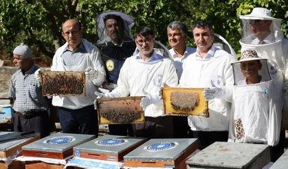 Büyükşehir'den üreticilere kovan desteği