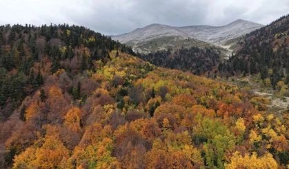 Uludağ'ın arka yüzünde görsel şölen