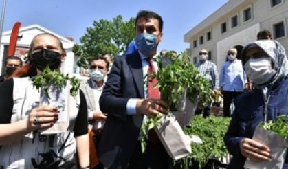 Milli tarıma Osmangazi desteği! Yerli tohum fideleri vatandaşa dağıtıldı