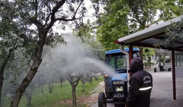 Orhangazi Belediyesi yeşil alanlarda böcek ve haşerelere karşı ilaçlama yapıyor!