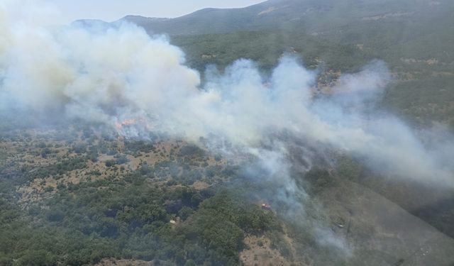 Bursa'daki orman yangını kontrol altına alındı