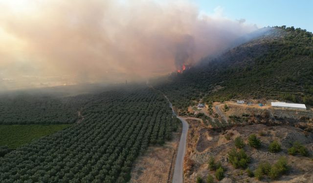 Bursa'daki orman yangını kontrol altına alındı