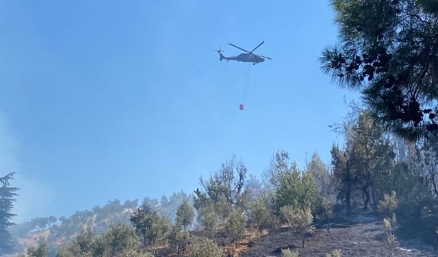 Urla’da yangın!