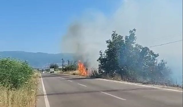 Bursa’da yangın… Yol kenarındaki otlar tutuştu!