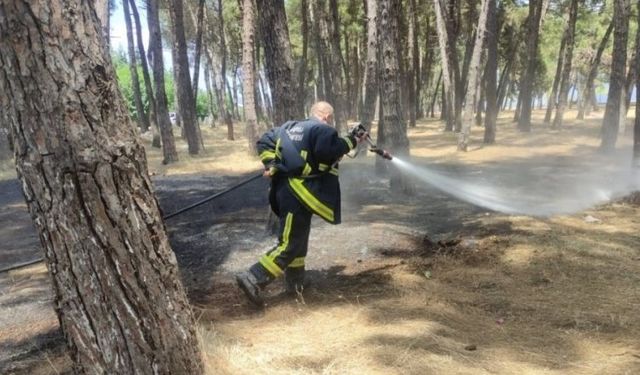 Sigara izmariti yangına sebep oldu!