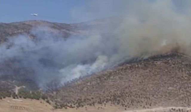 Manisa’nın Alaşehir ilçesinde orman yangını