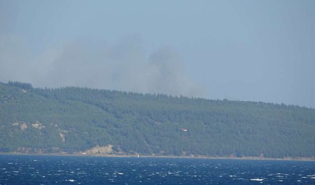 Çanakkale’de orman yangını