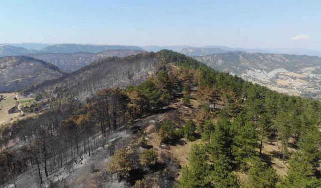 Bolu’da yanan alanlar havadan görüntülendi