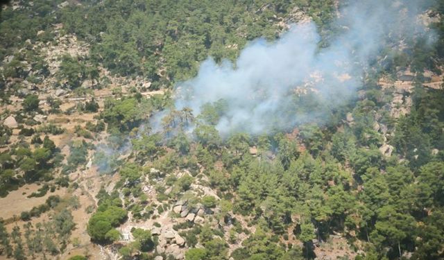 Muğla’da orman yangını