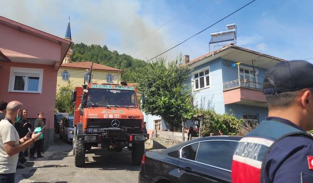 Zonguldak’ta orman yangını