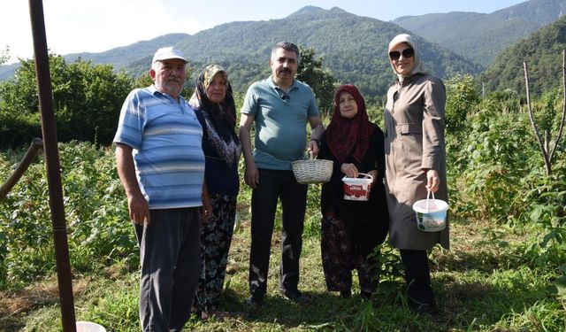 Yıldırım’da tarladan sofraya kadın eli