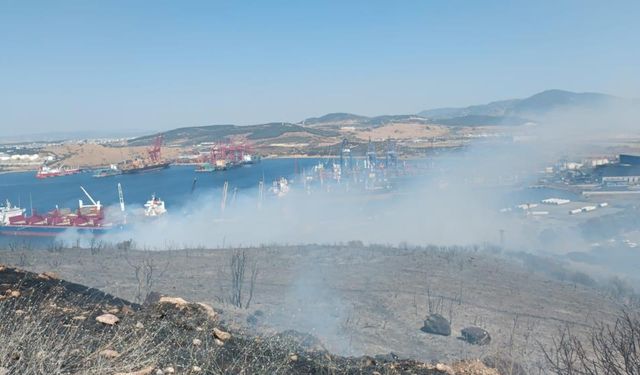 İzmir’de orman yangını