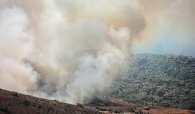 Bozcaada’da yangın paniği