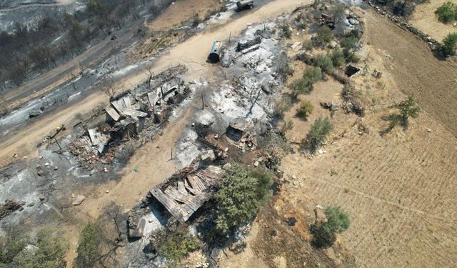 Manisa’daki orman yangınında acı tablo